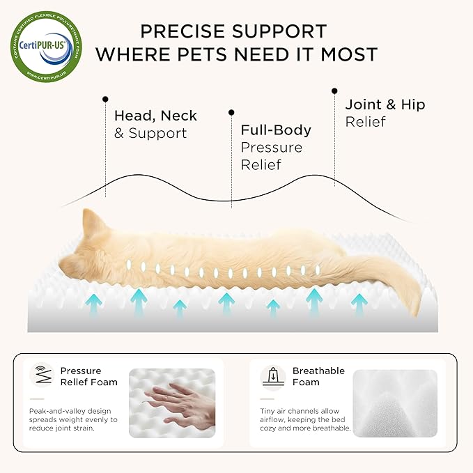 Bedsure 2 PCS Dog Beds Large Sized Dog - Comfy Flat Pet Beds with Removable Washable Cover, Orthopedic Egg Crate Foam Puppy Mat, Suitable for Pet Up to 65 lbs (Pack of 2)