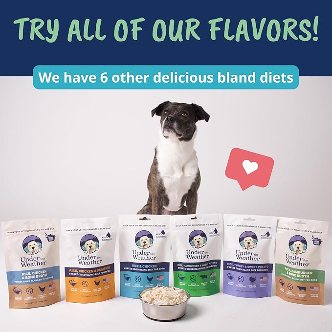 Under the Weather Bland Diet for Dogs | Easy to Digest for Sick Dogs | Always Be Ready | Contains Electrolytes - Natural Freeze Dried 100% Human Grade Meats| 1 Pack- Rice, Hamburger & Bone Broth - 6oz