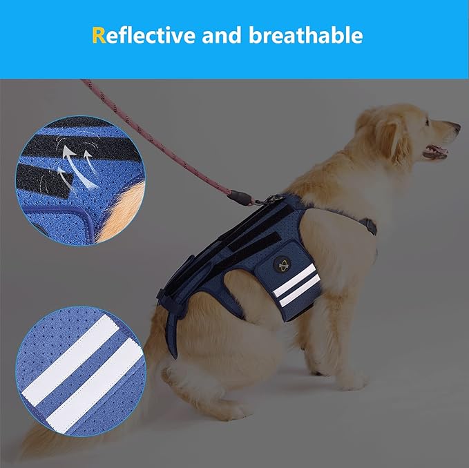 Coodeo Dog Back Brace for Dogs Arthritis, Pet Back Bracer for IVDD, Back Protector Helps Pain Relief, Surgical Recovery and Rehabilitation, Dogs Back Disease Prevention. (Blue,X-Large)