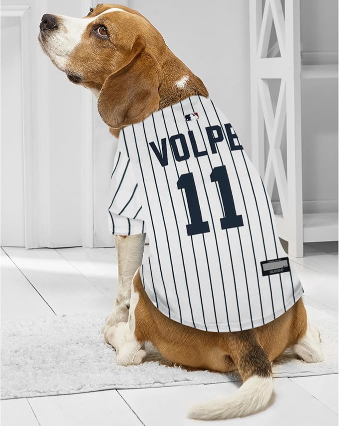 Pets First MLBPA Anthony Volpe Jersey #11 Pet Jersey- MLB New York Yankees Mesh Players Dog Shirt, Size Large
