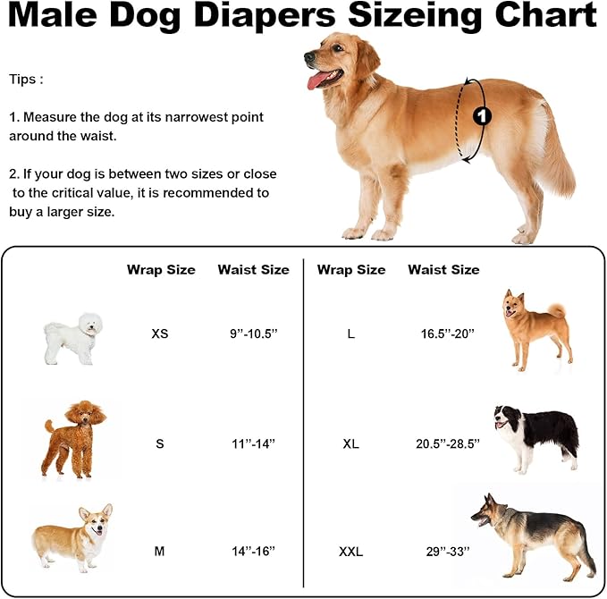 Washable Dog Diapers Male Reusable, Premium Belly Bands for Male Dogs Small, Pack of 3, High Absorbing Small Male Dog Pee Wraps for Doggie in Incontinence or Excitable Urination and Training(S)
