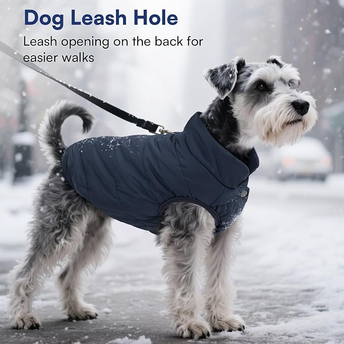 ASENKU Dog Winter Coat - Waterproof Windproof Dog Jacket, Warm Snowproof Doggie Puffer Vest for Cold Weather, Lightweight Snow Coats for Small Medium Large Dogs(M, Blue)