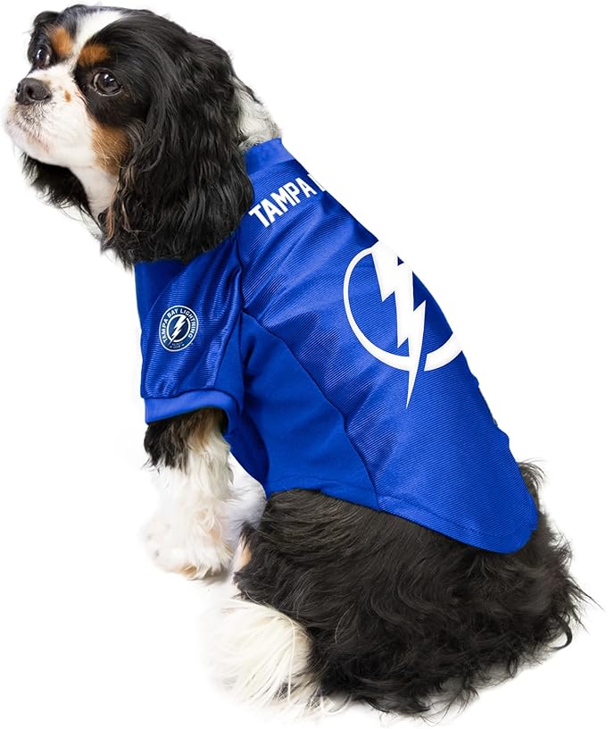 Littlearth NHL Montreal Canadiens Stretch Pet Jersey