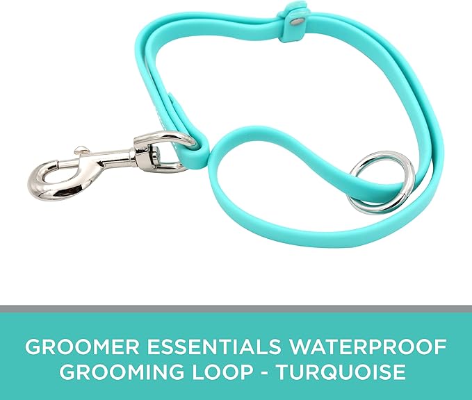 Waterproof Grooming Loop - Turquoise