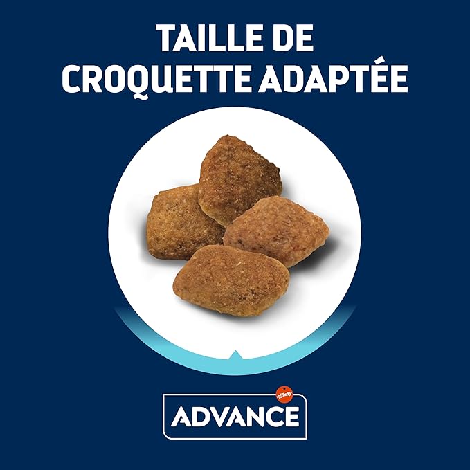 Advance Medium Senior 12 kg
