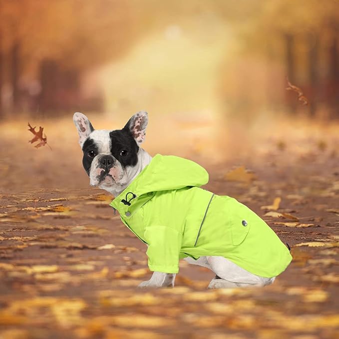 Morezi Dog Zip Up Raincoat with Reflective Buttons, Rain/Water Resistant, Adjustable Drawstring, Removable Hood, Raincoats with Legs 8lbs to 80lbs Available Light Green XS
