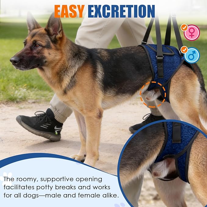 SlowTon Dog Lift Harness - Adjustable Dog Sling for Medium Large Dogs, Hind Leg Support to Help Rehabilitate, Soft Padded Dog Support Harness for Elderly, Injured, Arthritic, Disabled Dogs(BL,S)