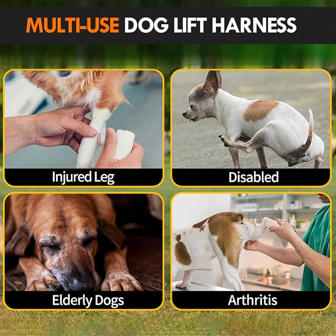 Dog Sling for Large Dogs Hind Leg Support Dog Lift Harness Adjustable Durable Rear Lift Support Harness for Weak Back Legs, Elderly, Injured, Senior, Arthritic, ACL Recovery Pet