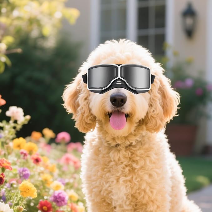 NAMSAN Dog Goggles for Medium to Large Dogs, Wide Snout, Anti-UV Sunglasses for Dogs Large Breeds, Windproof Dustproof Dog Eye Protection, Black