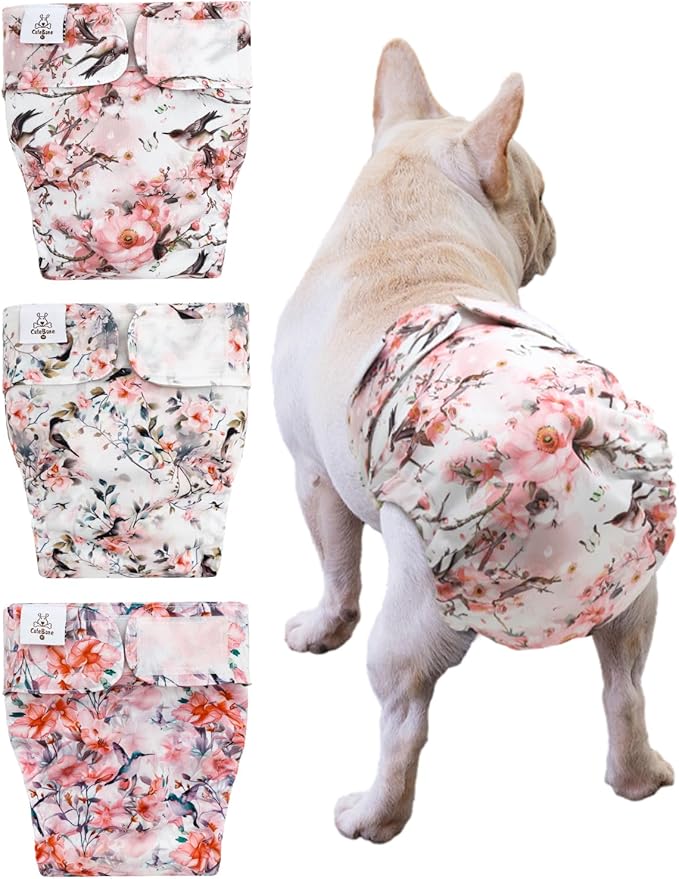 CuteBone Washable Dog Diapers Female No Tail Hole 3 Pack Reusable Doggie Period Training Pants for Docked-Tail Frenchie French Bulldog Boston Terrier Without Tail WWD30XS