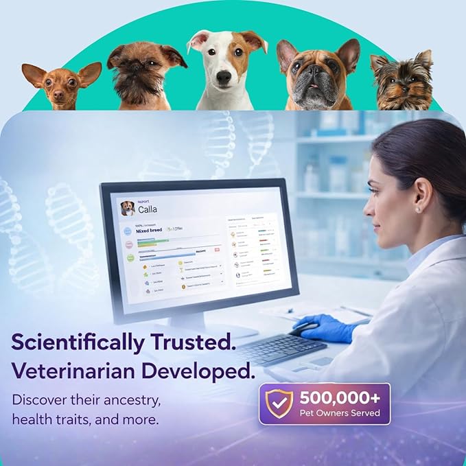 ORIVET Dog DNA Test Kit – Comprehensive Dog DNA Test Kit for Over 330+ Breed Identification | At Home Dog DNA Kit with Canine Genetic Testing & Life Plan Genopet