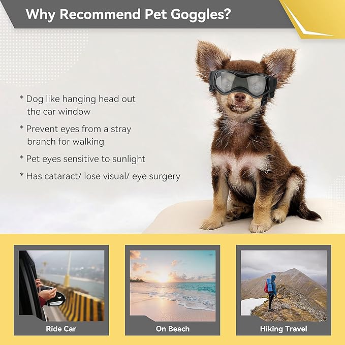 NAMSAN Dog Goggles Small Breeds, UV Protection Dog Glasses for Small Dogs, Puppy Sunglases Windproof Dustproof Driving Eye Protection, Adjustable, Classic Black