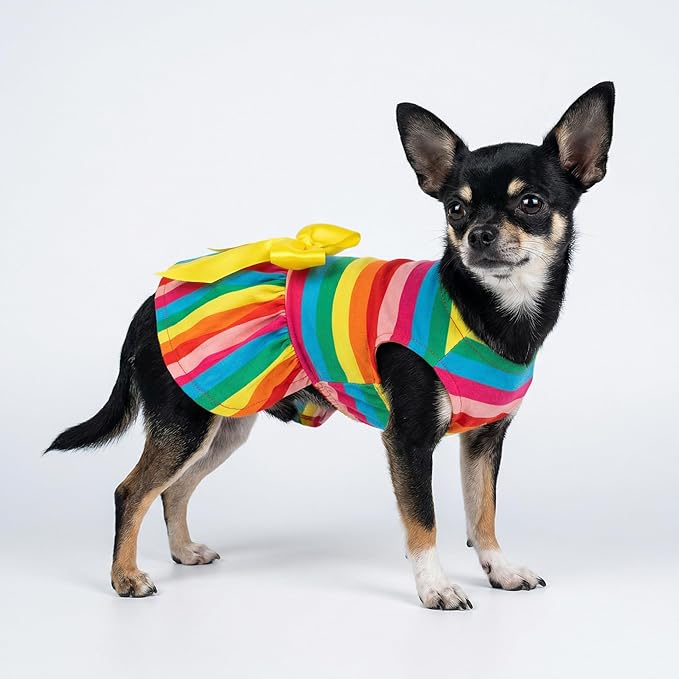 Fitwarm Rainbow Striped Dog Dress, Summer Dog Clothes for Small Dogs Girl, Pet Cat Outfit, 100% Breathable Cotton, Red Yellow Blue, Small