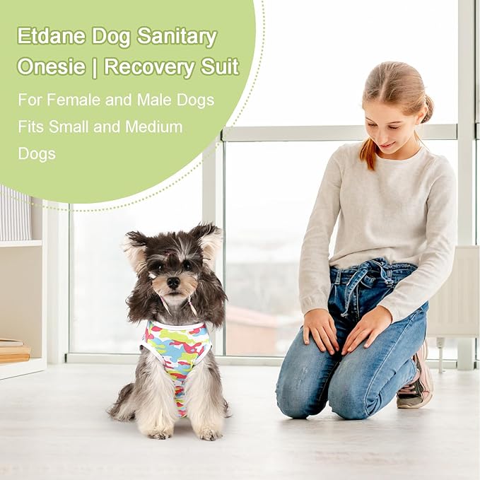 Etdane Dog Diapers Sanitary Panties Pet Period Onesie Surgical Recovery Suit After Surgery Wear for Female Male Dogs Camo/L