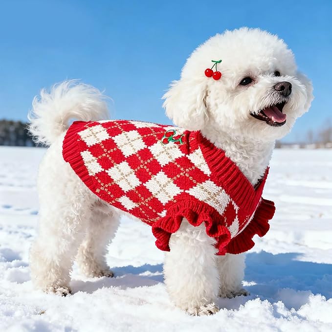 BAEJMJK Cute Cherry Small Dog Sweater Soft Girl Dog Clothes Turtleneck Warm Pet Puppy Knitted Pullover Princess Dogs Cats Outfits(Red Cherry A,X-Large)
