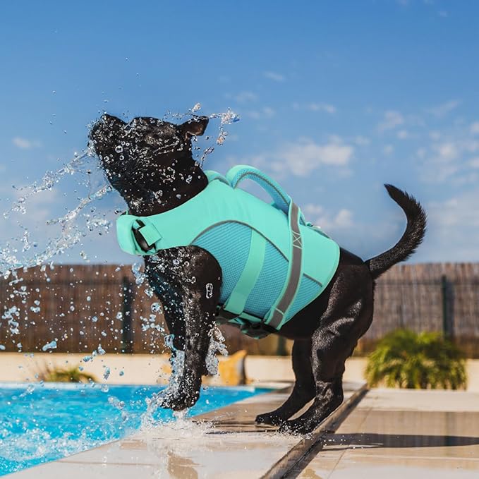Queenmore Small Dog Life Jacket, Adjustable Ripstop Dog Life Vest for Swimming Boating, Pet Lifesaver with Superior Buoyancy and Rescue Handle, Dogs Swimming Vest for X-Small Dogs（LightBlue,XS）