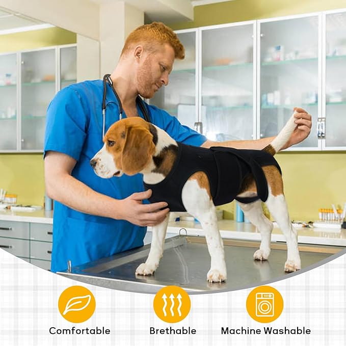 Post-Op Spinal Stability Wrap for Giant Dogs - Extra Long Spinal Stability Brace with 5 Plastic Support Strips, Breathable & Adjustable for Less Mobile Large Breed Dogs, Black 3XL