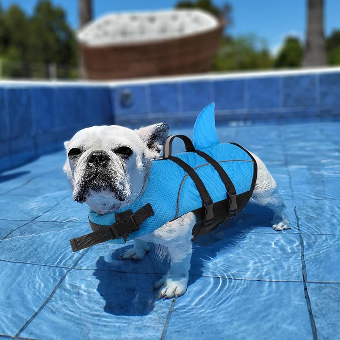 Queenmore Small Dog Life Jacket,Shark Dog Life Vest for Swimming,Puppy Light Life Preserver for Boating Kayaking Canoeing,Pet Lifesaver with High Buoyancy,Rescue Handle,Leash Hook (Peacock Blue,M)