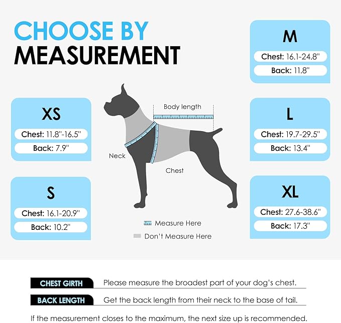 AOFITEE Dog Life Jacket, Dog Life Vest for Swimming, Reflective Puppy Safety Vest with Superior Buoyancy and Rescue Handle, Adjustable Dogs Swimsuit Float Coat for Small Dogs, Purple XS