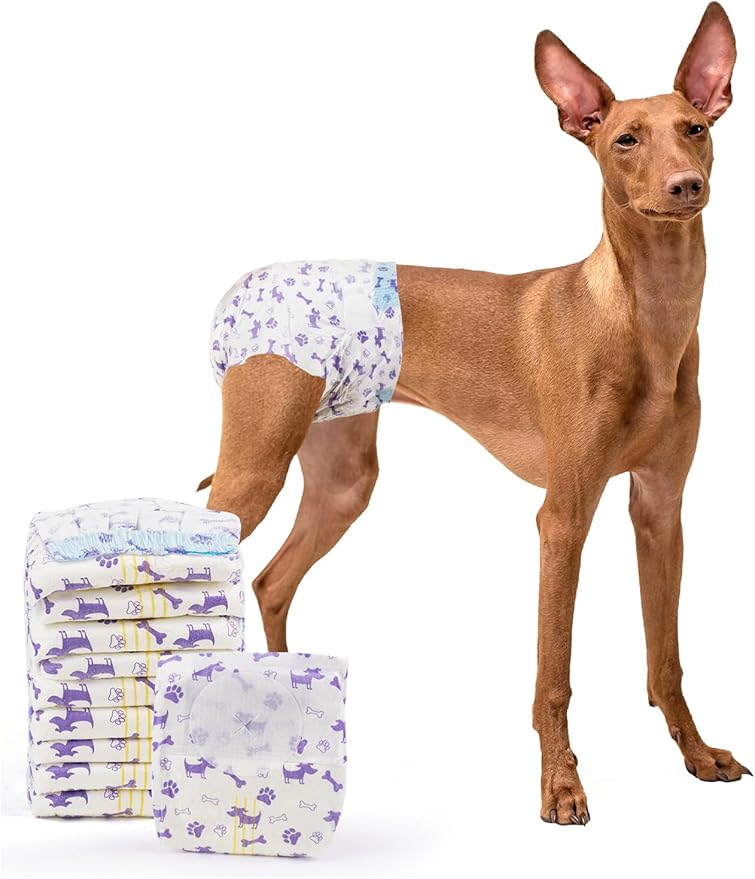 MICOOYO Disposable Dog Diapers Female, Doggie Diapers for Dogs Female, Super Absorbent Pet Diaper with Foam Tail Hole for Heat, Comfortable Puppy Diaper (Large, 40Count)