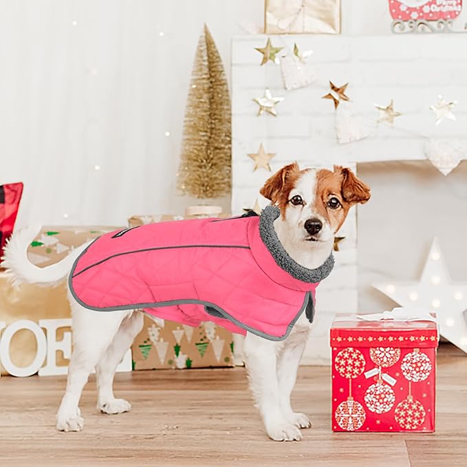 Fragralley Dog Coat Small, Waterproof Dog Jacket with Warm Fleece Lining, Adjustable Reflective Dogs Winter Coat, Turtleneck Pet Coats for Cold Weather (Pink S)