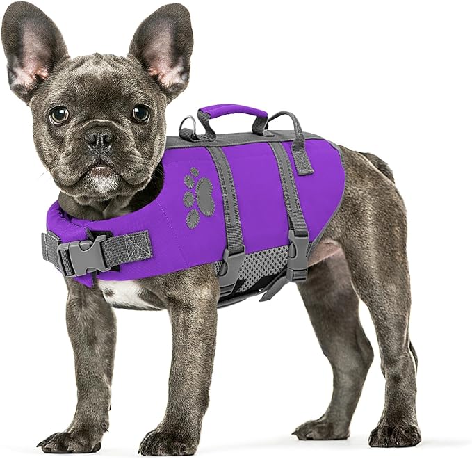 Queenmore Small Dog Life Jacket, Ripstop Dog Life Vest, Small Dog Life Vests for Swimming, Safety Dog Swimming Vest with Handle, Dog Life Vest for Boating with Hook Pet Life Jacket for Swim Water Pool