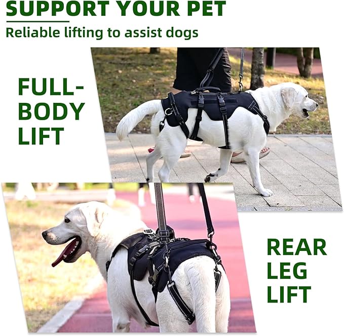 PUPTECK Dog Lift Harness for Medium Large Sized Dog, Rehabilitation Sling for Hind Leg Support, Multifunctional Mobility Assistance Harness for Old, Disabled, Joint Injuries, Paralysis Dogs