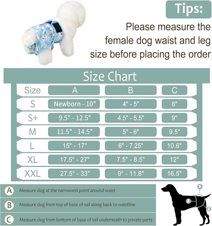 Washable Female Dog Diapers (5 Pack) - Doggie Reusable Small Medium Large Dog Diapers for Doggy Puppy Female in Period - Highly Absorbent Dog Heat Panties,S Plus,Cute Dog Pattern