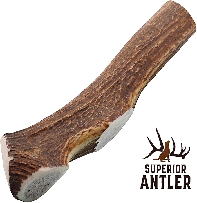 Jumbo Whole Elk Antlers for Dogs | 100% Natural & Organic | Dog Elk Antler for Aggressive Chewers | Whole Dog Antler Chews for Large Dogs 60-90+ lbs | 7-12 Inches, XXL | 12 oz