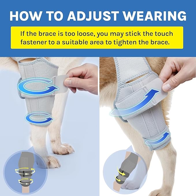 Dog Knee Brace for Torn ACL – Rear Leg Support for Ligament Injuries and Joint Pain Relief, Size: Large(10.2-13.3)