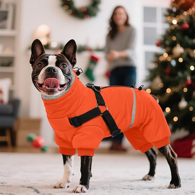 BRKURLEG Small Dog Winter Coat with Harness Built in, Orange Winter Dogs Jackets, Fullbody Dog Coat, Dogs Snowsuits Reflective Windproof Cold Weather Coats, Pet Warm Fleece Coats, XL