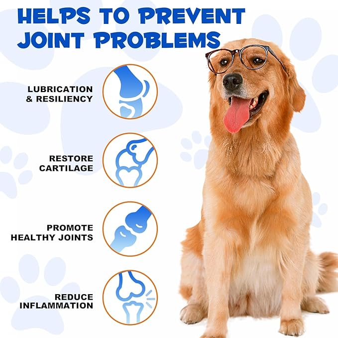 Dog Joint Aid & Relief Supplement with Chondroitin & Glucosamine HCl – Relieves Joint Pain & Reduces Inflammation for Senior Dogs, Active Adults & Puppies