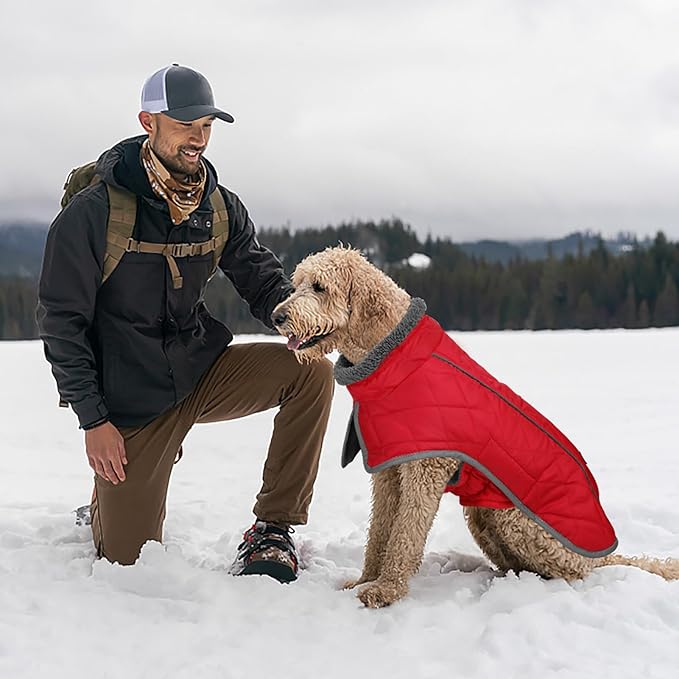 Fragralley Dog Coat Large, Waterproof Dog Jacket with Warm Fleece Lining, Adjustable Reflective Dogs Winter Coat, Turtleneck Pet Coats for Cold Weather (Red XL)