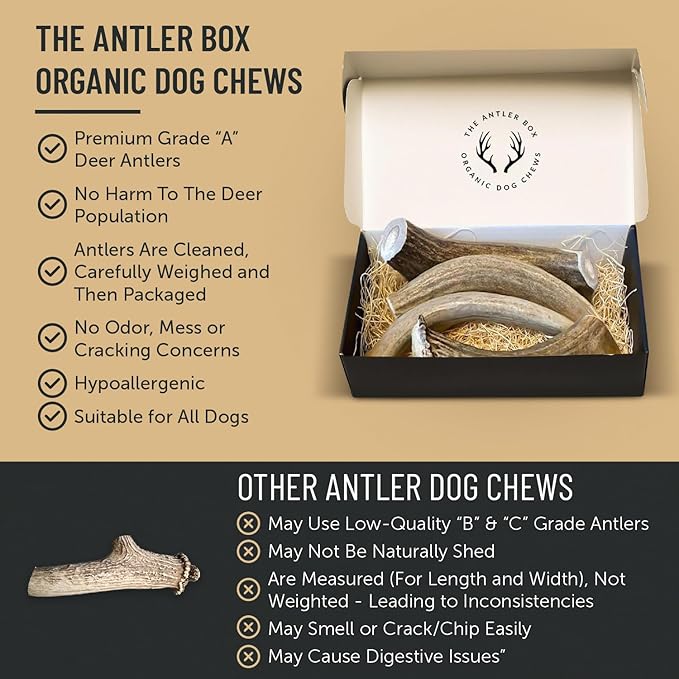 The Antler Box Premium Deer Antler Dog Chews (1 lb Bulk Pack) (Large (3 to 4 Antlers/lb))