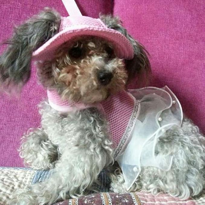 Round Brim Princess Hat Visor Hat Pet Dog Mesh Porous Sun Hat with Ear Holes for Small, Extra Small Dog Teddy, Pug, Chihuahua, Shih Tzu, Yorkshire Terriers, Papillon Pink S