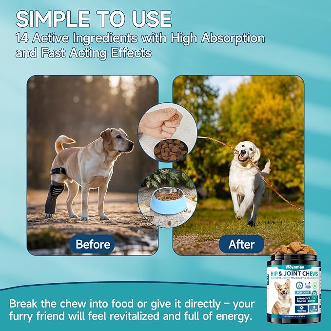 Hip and Joint Supplement for Dogs, Glucosamine for Dog Joint Supplement, 200 Soft Chews with Glucosamine, Chondroitin and MSM Dog Hip and Joint Supplement for All Ages and Breeds, Chicken Flavor