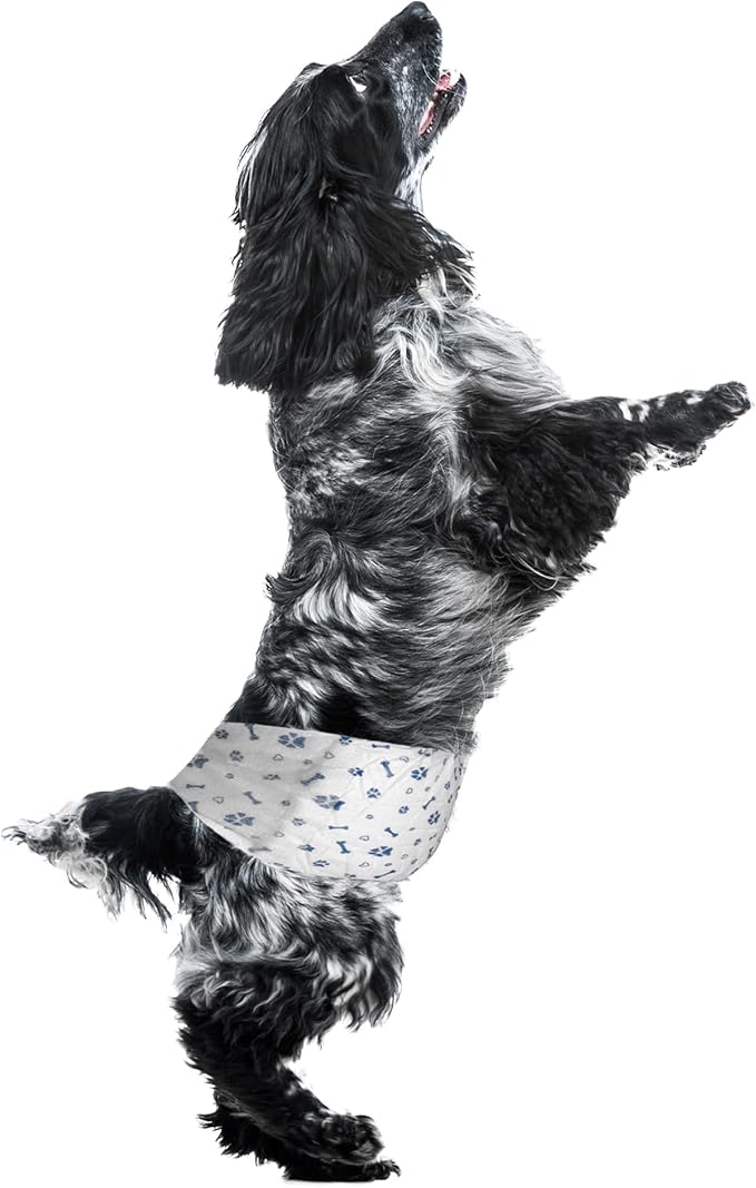 Dog Diapers Male Wraps, Disposable Male Dog Diaper, Super Absorbent Doggie Diapers for Boy Dogs with Incontinence Marking or Excitable Urination(L, 50)