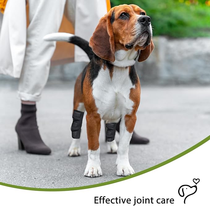 Dog Leg Braces for Rear Leg, Adjustable Dog Leg Sleeve Added Mobility Safety for Active Aging Dogs, Knee Support Straps for Outdoor Adventures Daliy Use Enhanced Stability (M)
