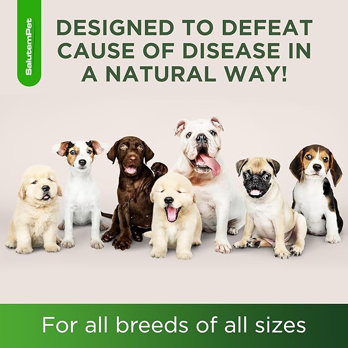 Dog Antibiotics for Infections, Cough, & Itching | Natural Antibiotics for Dogs for All Ages to Promote Wound Healing | Dog UTI Treatment and Tooth Infection Treatment | Chicken Flavor | 2 Oz