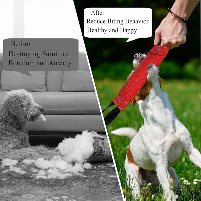 Floating Dog Toy for Pool, Medium & Large Dogs, Lightweight Interactive Tug of War, Fetch & Retrieving Water Toy for Beach, Dock Diving & Outdoor Training