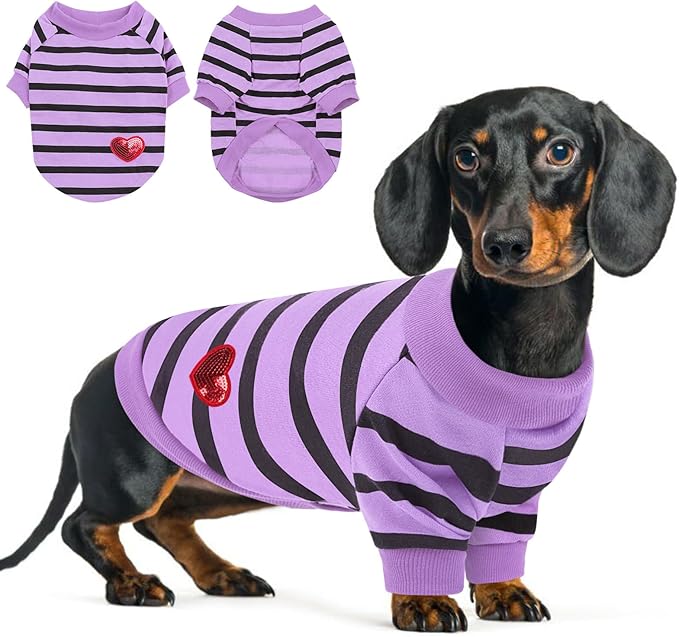 Queenmore Small Dog Shirt,Soft Breathable Dog Shirt for Dogs Cats Boy Girl,Pet Clothes for All Season,Breathable Lightweight Pet Tshirt for Frenchie, Dachshund, Yorkie