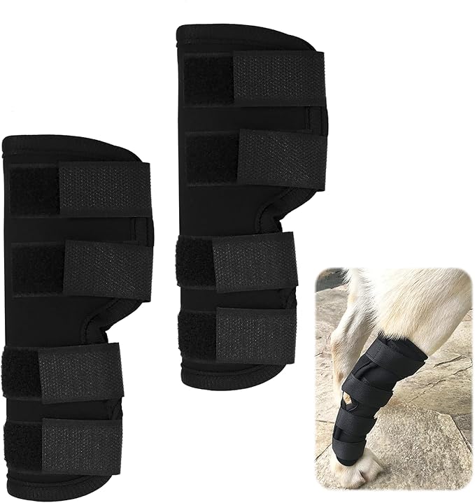 Dog Leg Braces for Rear Leg, Adjustable Dog Leg Sleeve Added Mobility Safety for Active Aging Dogs, Knee Support Straps for Outdoor Adventures Daliy Use Enhanced Stability (XL)