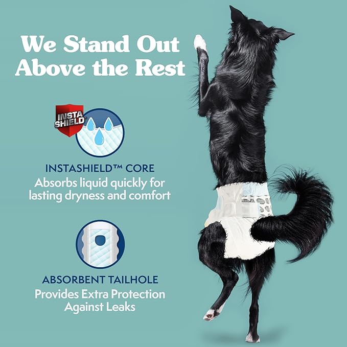 Simple Solution True Fit Disposable Dog Diapers for Female Dogs - Super Absorbent with Wetness Indicator - L/XL (Waist 18-27in) - 30 Count (Pack of 2)