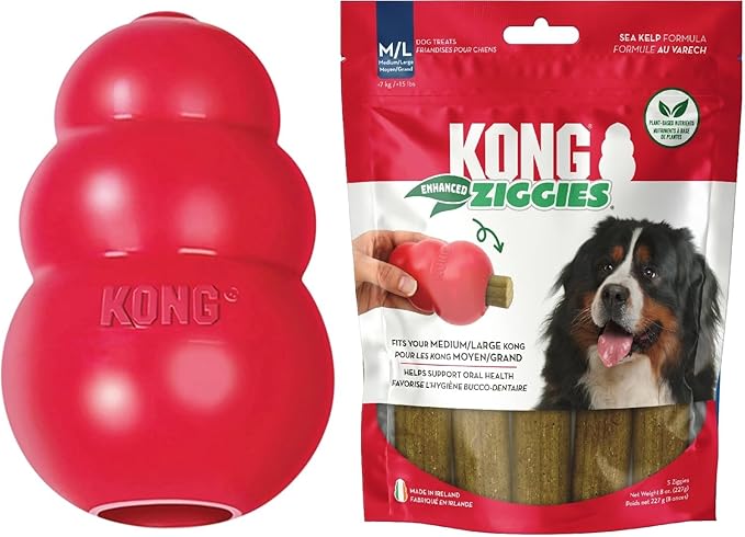 KONG Classic Toy & Enhanced Ziggies Treats Combo Pack - Durable Chew Toy for Dogs - with Enhanced Ziggies Treats - Dog Accessories for Fun & Health - for X-Large Dogs