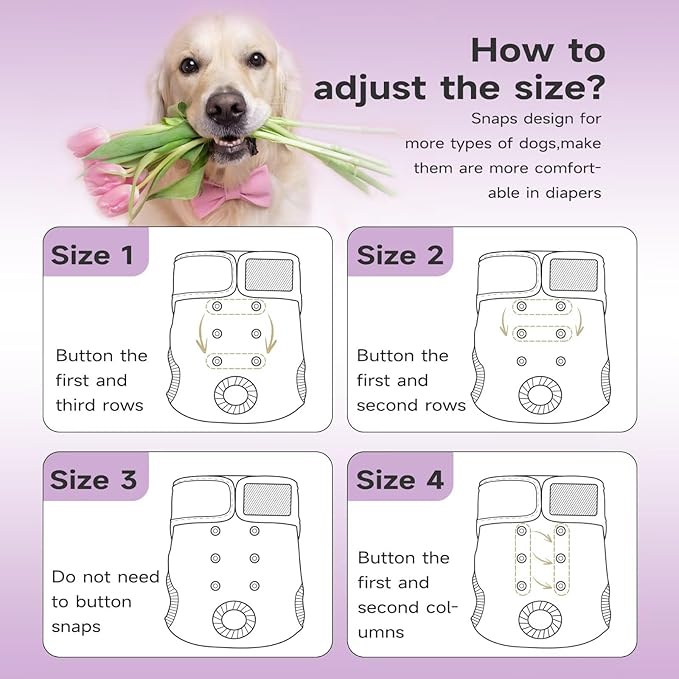Paw Legend Washable Reusable Female Dog Period Diapers for Heat Doggie Puppy Diapers for Female Dogs (3 Pack,X-Small)