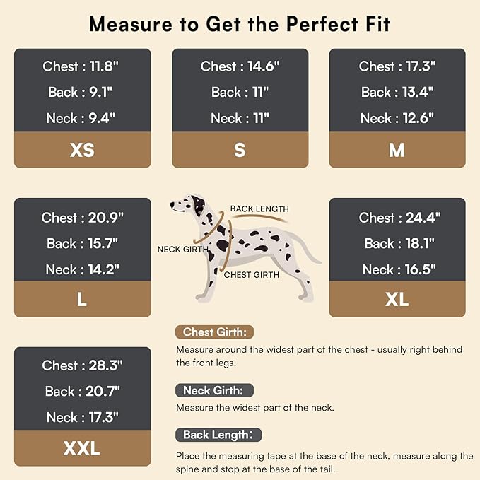 Queenmore Small Dog Pullover Sweater, Cold Weather Cable Knitwear, Classic Turtleneck Thick Warm Clothes for Chihuahua, Bulldog, Dachshund, Pug (Peacock Blue, X-Small)