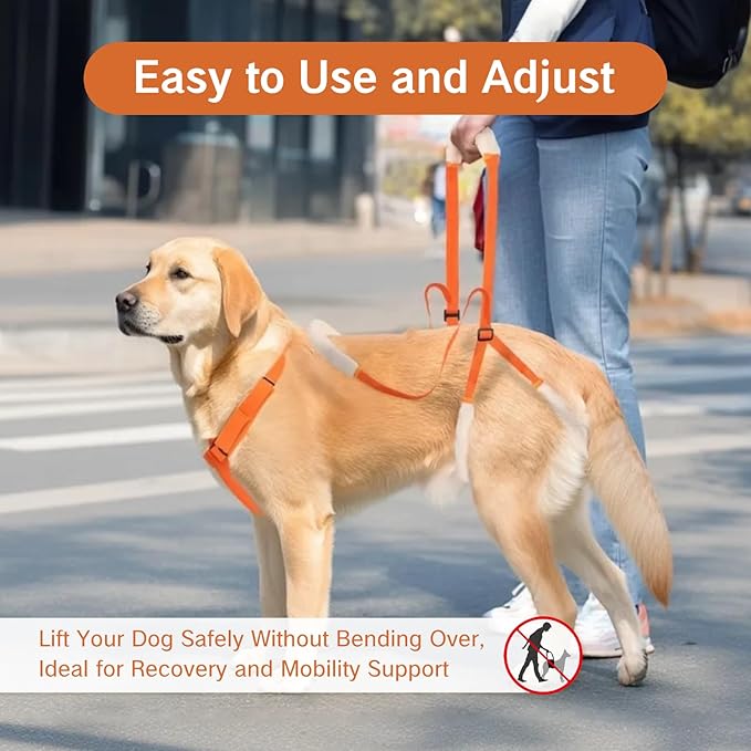 Sling for Dogs Back Legs Rear Support Harness for Paralyzed or Handicapped Pets Assistance Lift Slings for Hind Leg Mobility Small Dog Handicap Supplies for Joint Injuries and Stability (Orange)