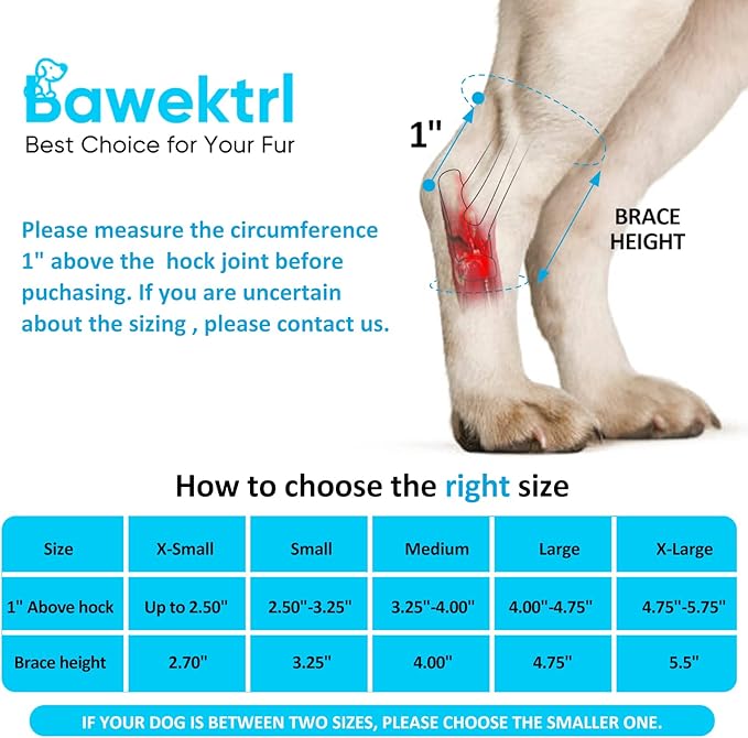 Dog Leg Braces for Rear Legs, Hock Brace for Back Legs with Metal Strips and Safety Reflective Straps for Short Legs, Joint Warps Support for Hind Legs Injuries Sprains Arthritis (Medium(1Pair)