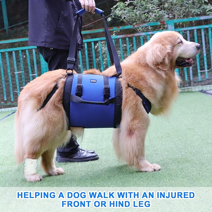 Dog Carry Sling, Emergency Backpack Pet Legs Support & Rehabilitation Dog Lift Harness for Large Dogs, Dog Carrier for Senior Dogs Joint Injuries, Arthritis, Up and Down Stairs (Blue, XXL)