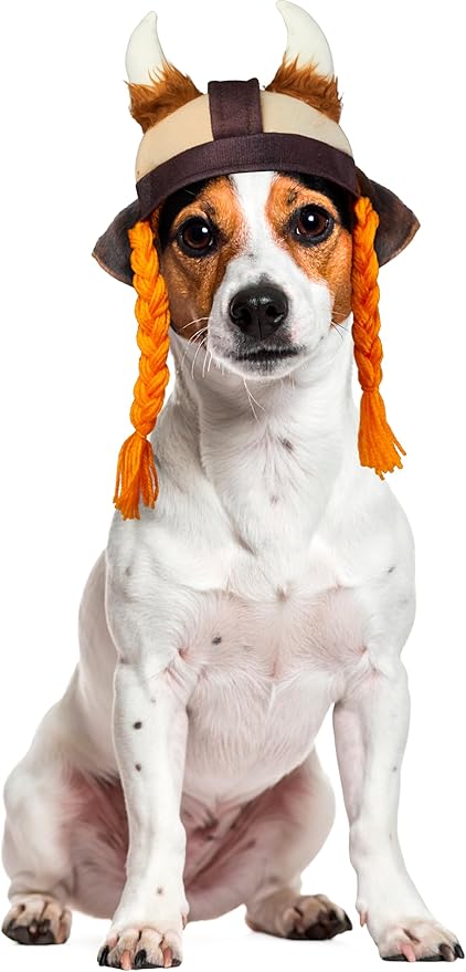 Rubies Viking Pet Hat for Dogs or Cats, S/M